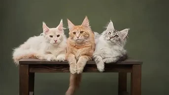 post-forex-market-weekend-hours-understanding-which-markets-are-open-and-when-image